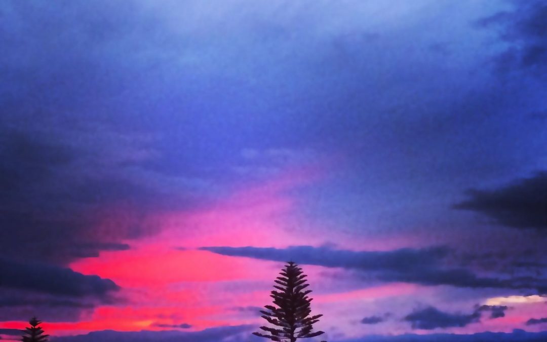Lanai Sunset and Pine